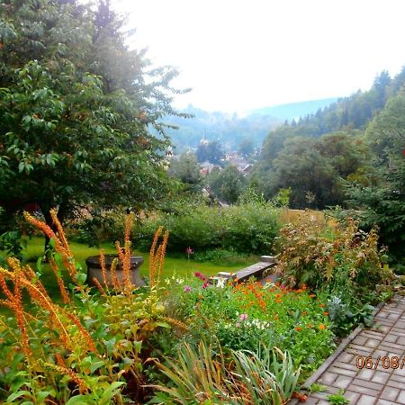 Apartman Aya Janov nad Nisou Exterior foto