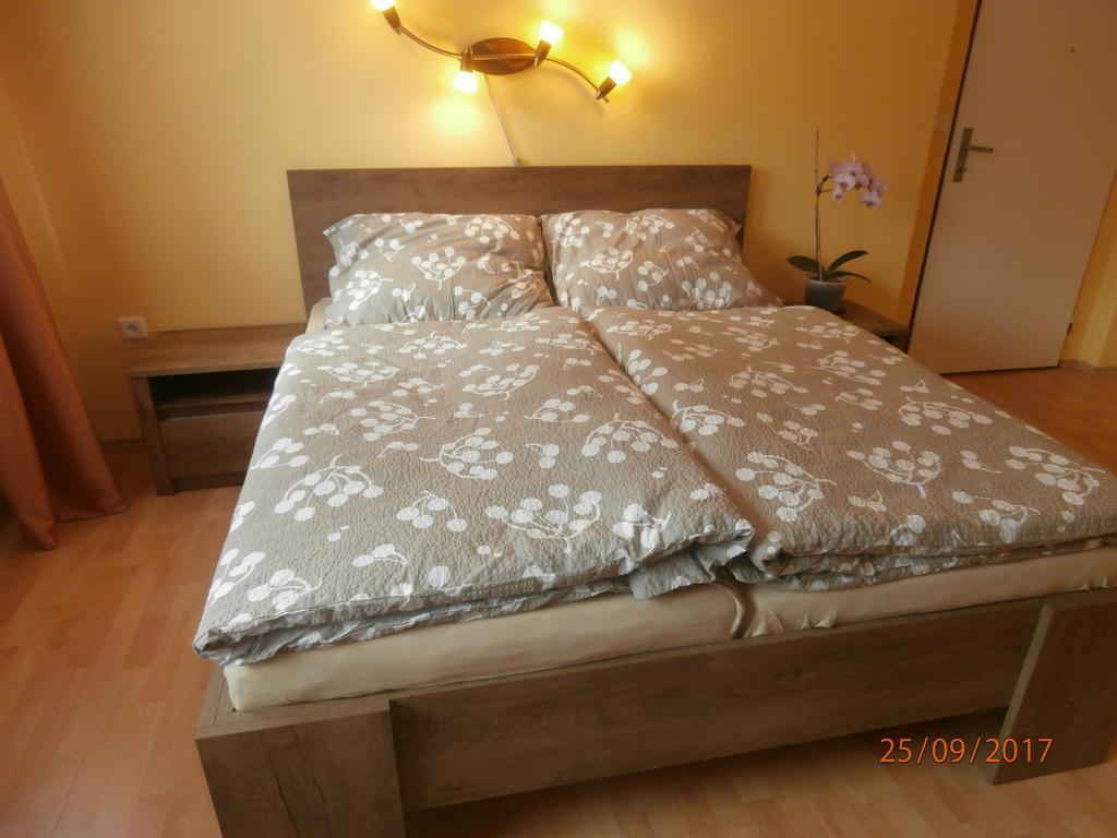 Apartman Aya Janov nad Nisou Exterior foto
