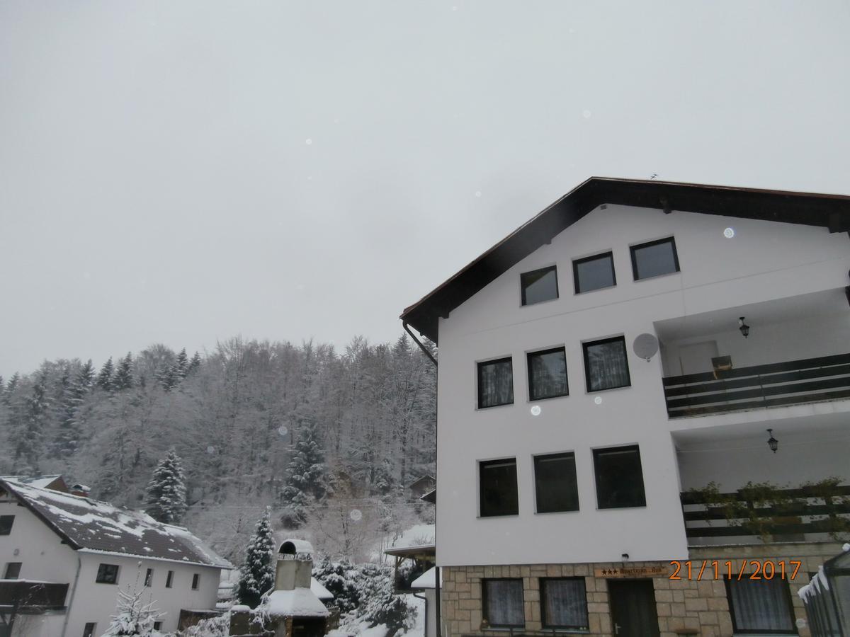 Apartman Aya Janov nad Nisou Exterior foto